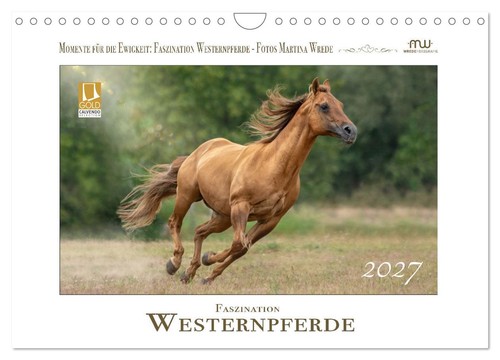 Faszination westernpferde - faszination,