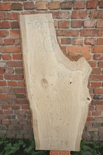 Baumscheibe Holzscheibe