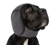 Ohrschutz für Hunde