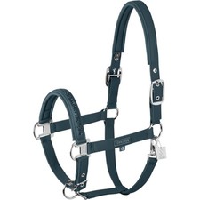 Eskadron Petrol WE Halfter