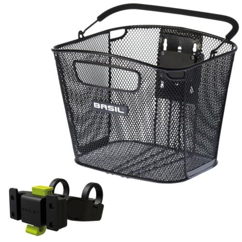 Basil bold front - bold,