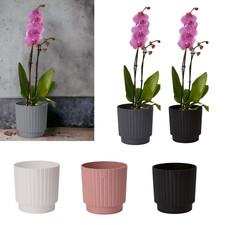 Blumentopf Rund Übertopf