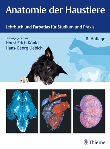 Horst erich könig anatomie - horst,