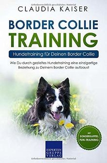 Border collie training - collie,