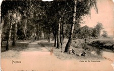 Haynau, Partie an der