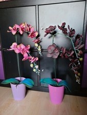 Set 2 Orchideen Kunstblumen Kunstpflanzen 65cm Im Übertopf