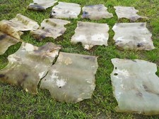 Echte Rohhaut Pergament Rohleder vom Reh Ritter Wikinger Schild TrommellederLarp