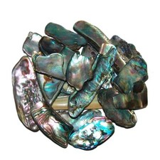 Paua Shell 50 Gramm = 10 - 18