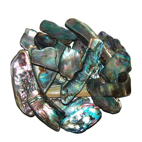 Paua shell gramm 18 - =,