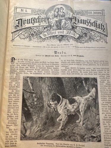 1896 wochenzeitzschrift - 1896,