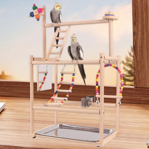 Papageien-Spielständer
