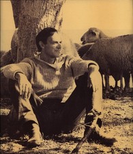 Twombly, Bilder Paintings 1952