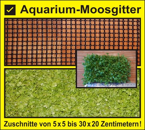 Am1 moosgitter - ⭐,
