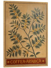 Acrylglasbild Arabica-Kaffee