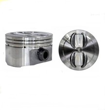 〽️ Satz KOLBEN mit RINGE