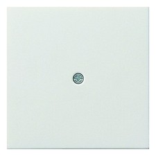 Gira Vollplatte Kabelauslass