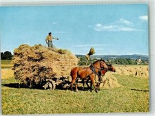 39749907 - Freiberger-Zweiergespann am Erntewagen Stiftung fuer das Pferd