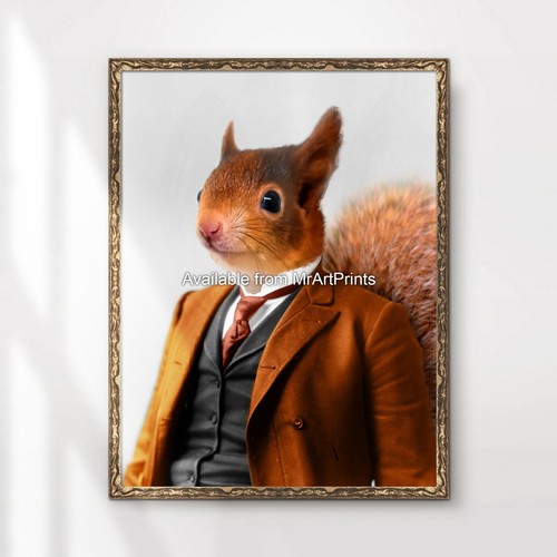 Rotes eichhörnchen kunstdruck - eichhörnchen,