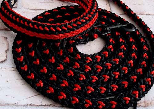 Set halsband leine - set, +