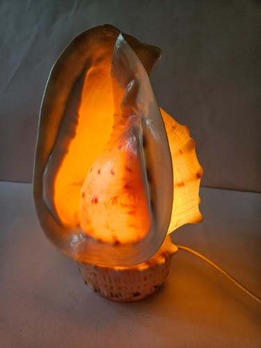 Vintage tischlampe muschel - tischlampe,