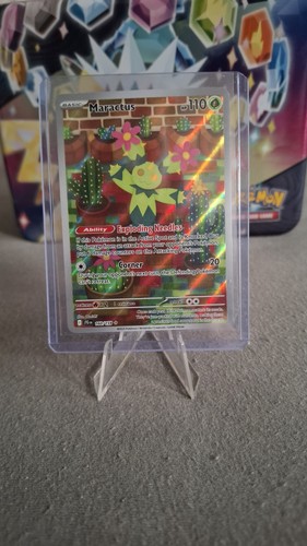 Maractus maracamba jtg - maractus/maracamba, full