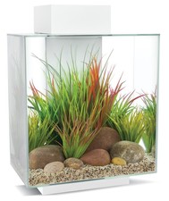 Fluval Edge 2.0 weiß 46 Liter Nanoaquarium mit LED und Filter