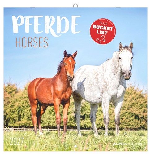 Pferde 2027 wandkalender 30x30 - pferde,