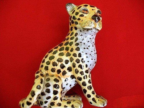 Leopard italienische - –,