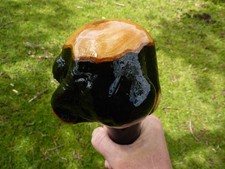 RIESIGER IRISCHER BLACKTHORN