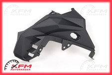 Kawasaki Versys 1000