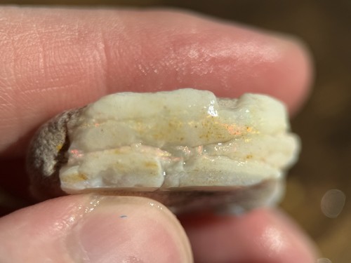 Coober pedy fossile opal - pedy,
