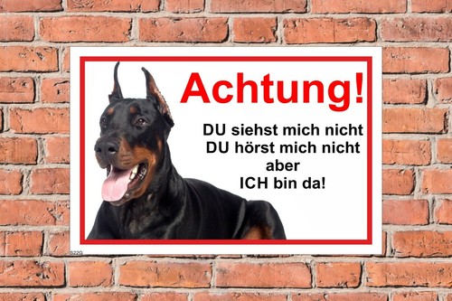 Schild hund dobermann achtung - schild,