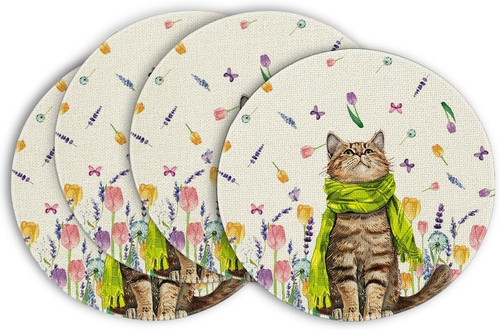 Blumen tulpen lavendel katze - blumen,