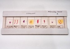 Histologie Mikroskop Objektträger Set professionell präpariert beschriftet Verdauungskanal