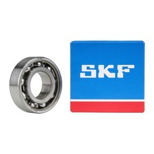 SKF 6004 Radial