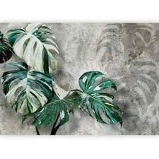 MONSTERA VARIEGATA BLÄTTER
