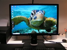 Dell Professional Monitor