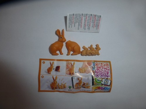 Tierfamilie hase - -,