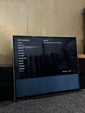 Bang & Olufsen BeoVision 11-55 / DVB/ HDD