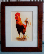 Gudini-Gemälde Bild Vogel Hahn. Rahmen Nussbaum Wurzelholz 24 cm x 20 cm