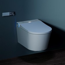 Intelligent Dusch Toilette
