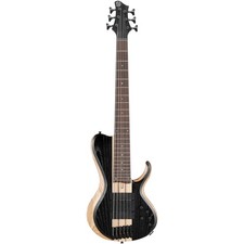 E-Bass Ibanez Bass Workshop