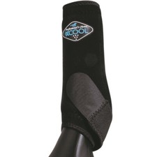 Professionals Choice 2XCool