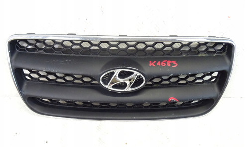 Frontgrill hyundai santa - frontgrill,