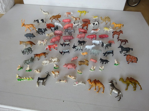 Verschiedene kleine - verschiedene,