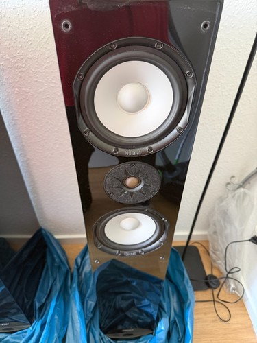 Lautsprecher boxen paar magnat - boxen,