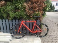 Neonrotes singlespeed