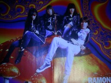Ramones poster punk rock - -,