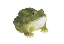 Frosch Gartenfigur Wetterfest