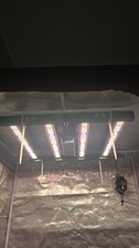 LED Grow Light Vollspektrum